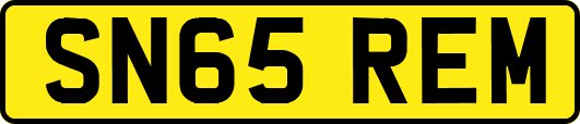 SN65REM