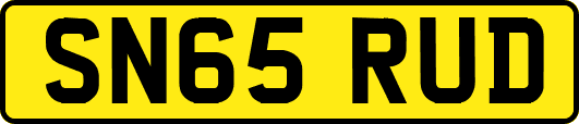 SN65RUD