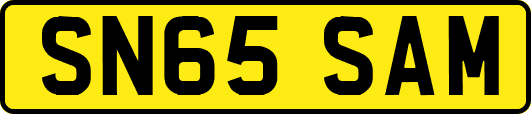 SN65SAM