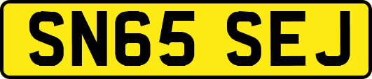 SN65SEJ