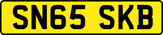 SN65SKB