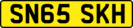SN65SKH
