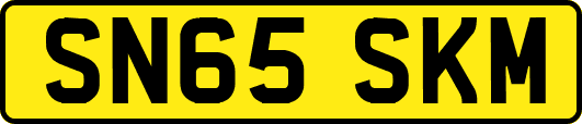 SN65SKM