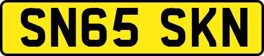 SN65SKN