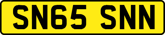 SN65SNN