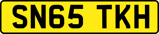SN65TKH