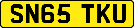 SN65TKU