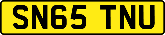 SN65TNU