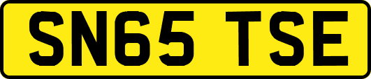 SN65TSE