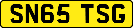 SN65TSG