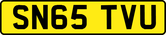 SN65TVU
