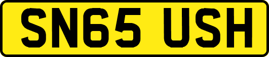 SN65USH