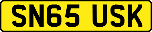 SN65USK
