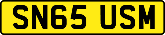 SN65USM