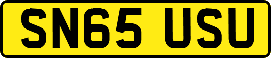 SN65USU