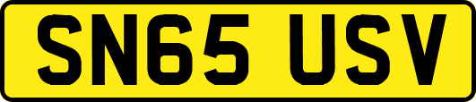 SN65USV
