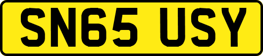 SN65USY