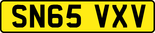 SN65VXV
