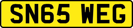 SN65WEG