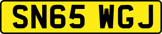 SN65WGJ