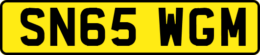SN65WGM