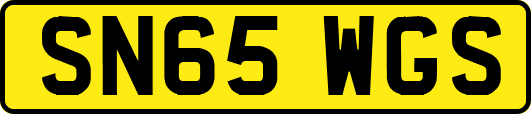 SN65WGS