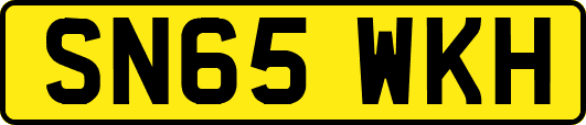SN65WKH