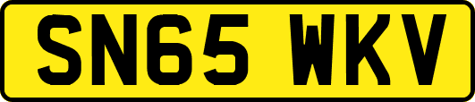 SN65WKV