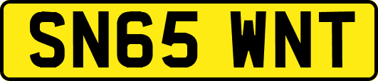 SN65WNT