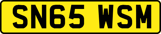 SN65WSM