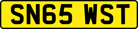 SN65WST