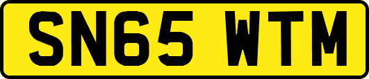 SN65WTM