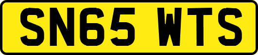 SN65WTS