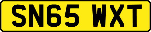 SN65WXT