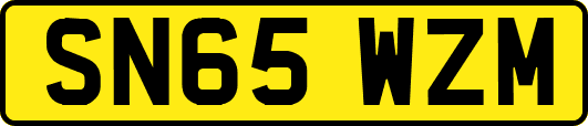 SN65WZM