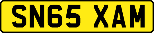 SN65XAM