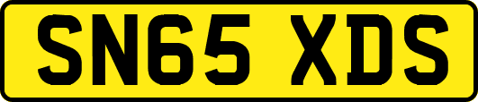 SN65XDS