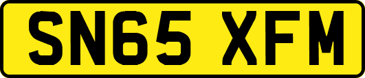 SN65XFM
