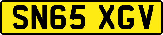 SN65XGV