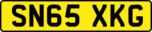 SN65XKG