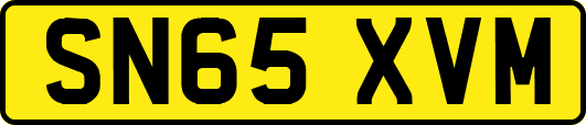 SN65XVM