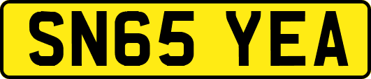SN65YEA