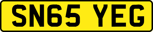 SN65YEG