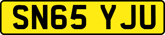 SN65YJU