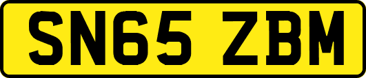 SN65ZBM