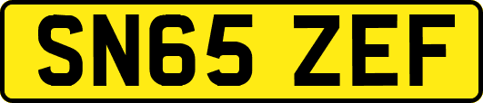 SN65ZEF
