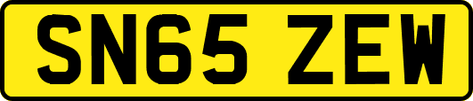 SN65ZEW