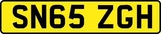 SN65ZGH