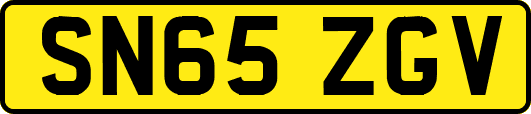 SN65ZGV