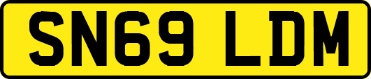 SN69LDM